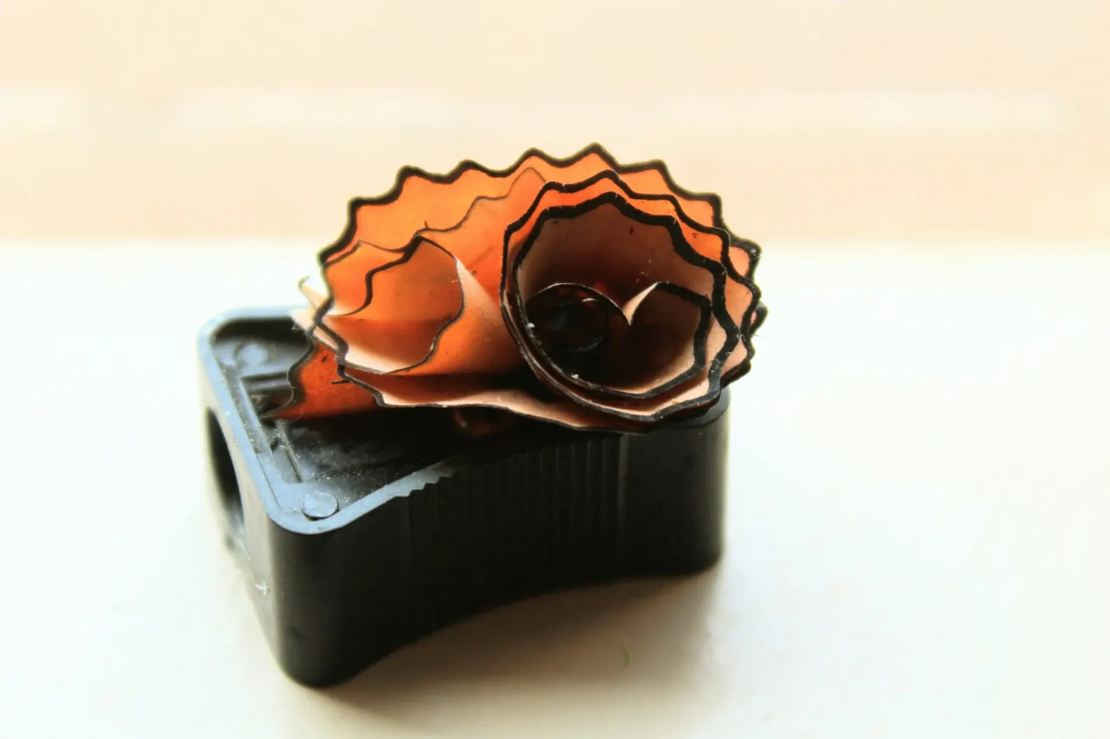 Viruta de lápiz en forma de flor sobre un sacapuntas