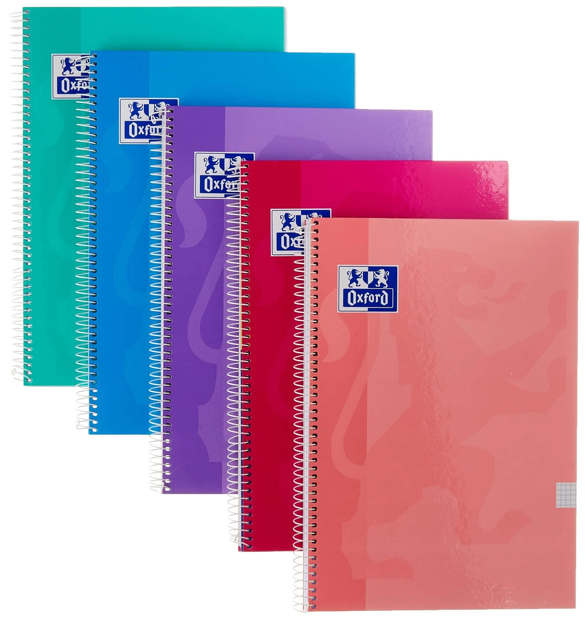 Oxford Cuadernos A4, Tapa Extradura, Pizarra Write&Erase, 80 Hojas, Cuadrícula 4x4, Pack 4+1 , Surtido colores tendencia
