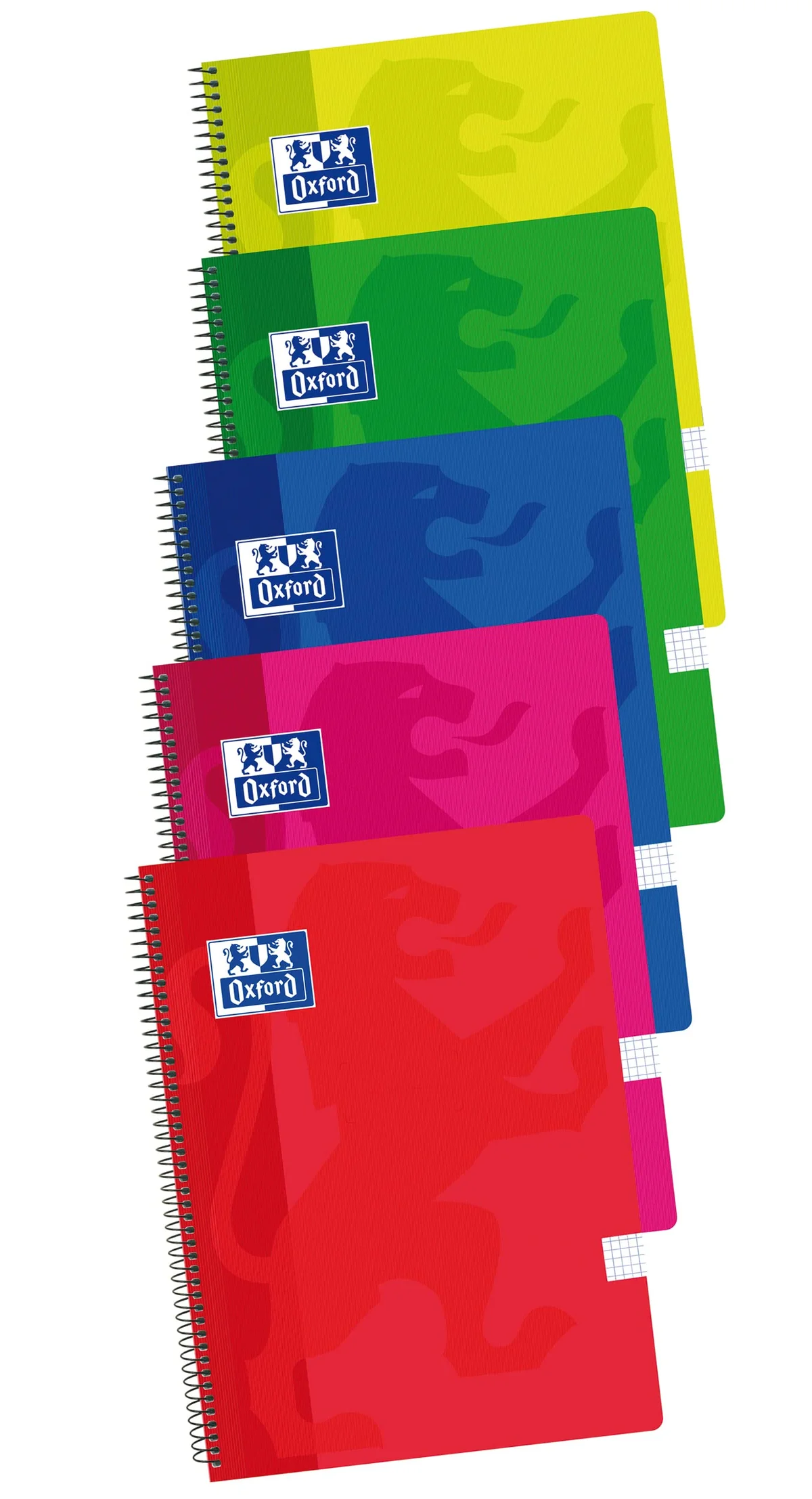 Oxford Cuadernos A4 , Tapa Plástico, 80 Hojas, Cuadrícula 4x4, Pack 5 unidades, Surtido colores vivos