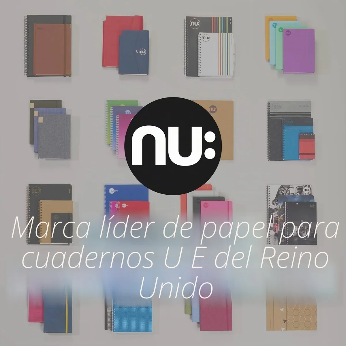 NAVIGATOR - Papel 160gr, Color blanco, 250 hojas, A4