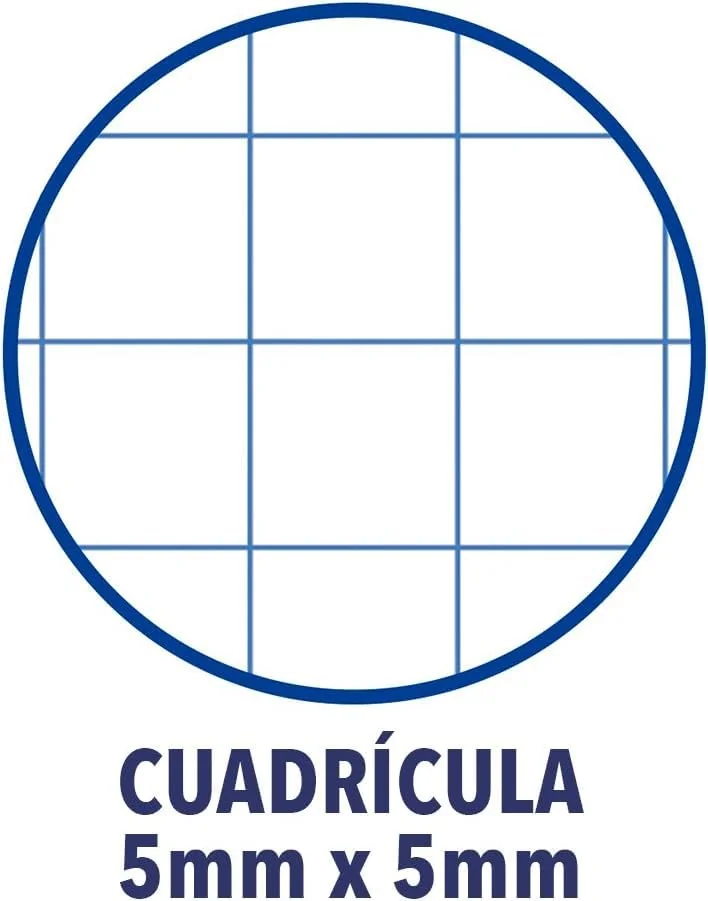 Oxford - Hojas Cuadriculadas A4 Perforadas, Recambio Archivador, 160 Hojas, Cuadrícula 5x5, 10 Colores de Banda