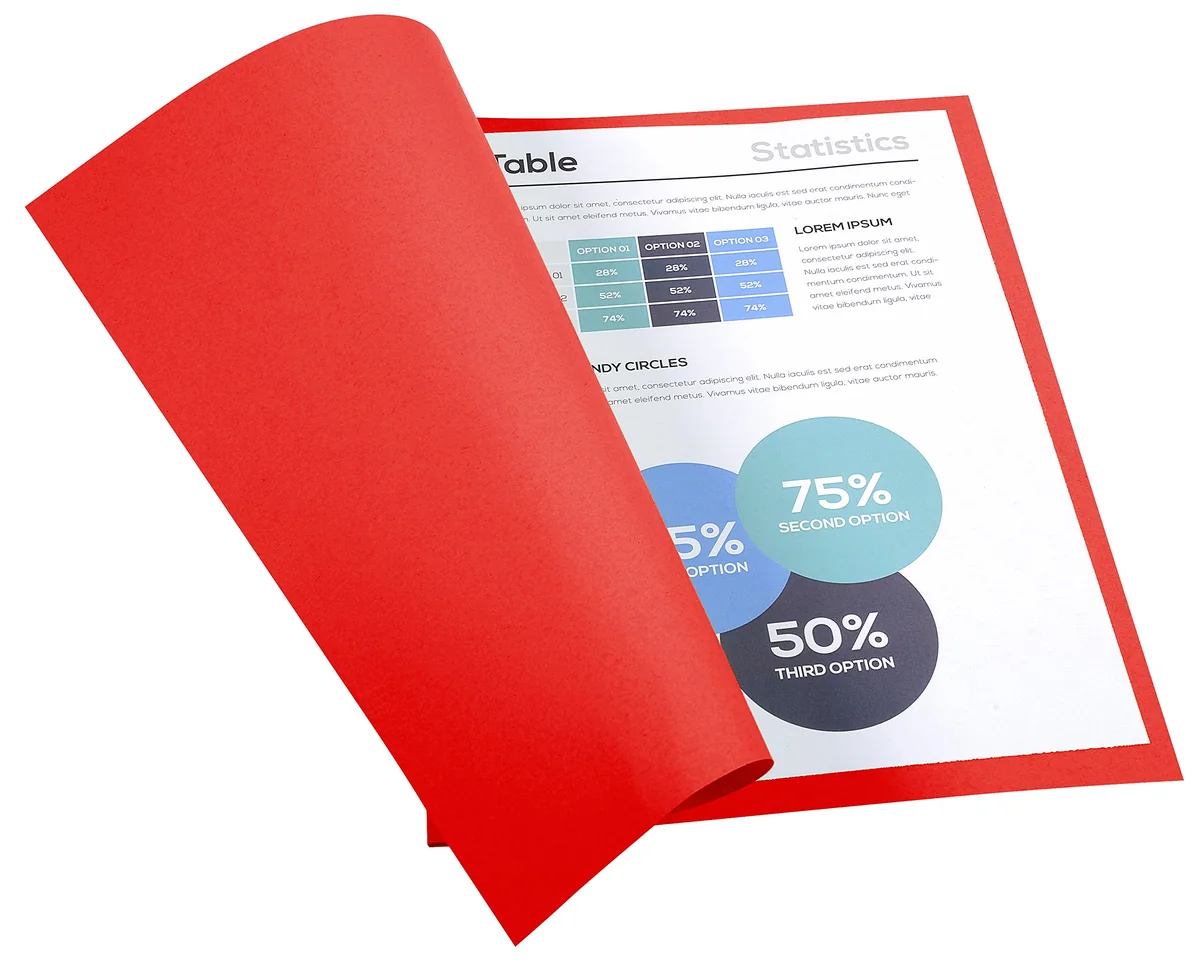 Exacompta 420012E - Lote de 100 Subcarpetas Forever® 180, Color Rojo