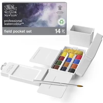 Winsor & Newton Professional, caja de campo de 12