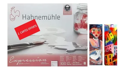 Hahnemühle Expression 24 x 30 cm, 100 % algodón